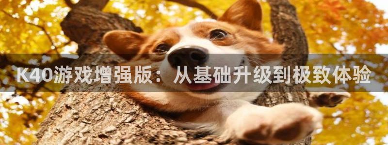 ag街机科技有限公司：K40游戏增强版：从基础升级到极致体验