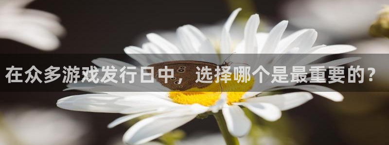 ag街机子文化有什么游戏：在众多游戏发行日中，选择哪个是最重要的？