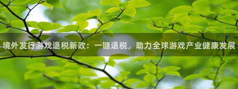深圳市ag街机科技有限招聘公司