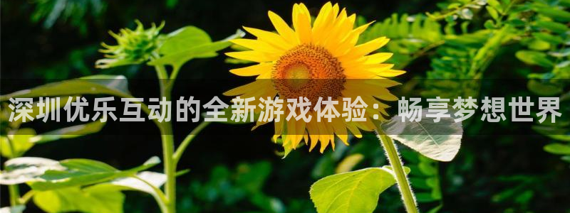 ag街机是什么：深圳优乐互动的全新游戏体验：畅享梦想世界