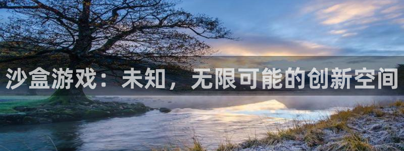 东莞ag街机信息科技有限公司：沙盒游戏：未知，无限可能的创新空间
