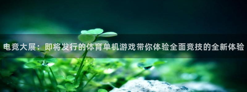 ag街机官网注册平台：电竞大展：即将发行的体育单机游戏带你体验全面竞技的全新体验