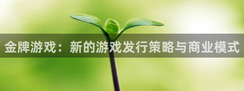 ag街机品牌策划团队介绍：金牌游戏：新的游戏发行策略与商业模式