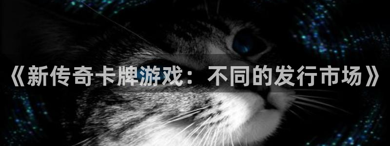 ag街机多少钱：《新传奇卡牌游戏：不同的发行市场》