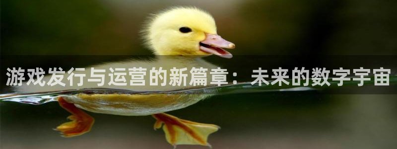 ag街机官网注册地址在哪里查询：游戏发行与运营的新篇章：未来的数字宇宙
