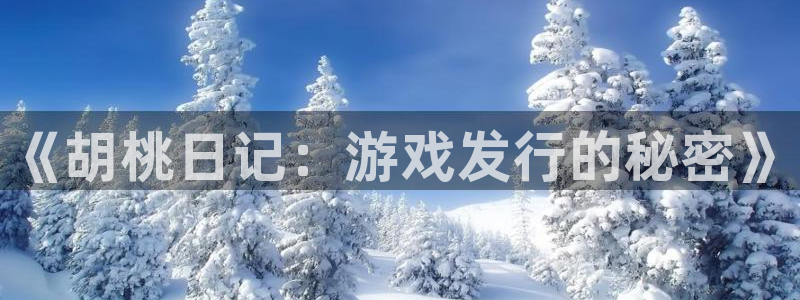 ag街机集团董事长刘一辰简历：《胡桃日记：游戏发行的秘密》
